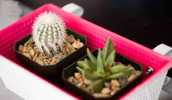 盆栽鐵盒.jpg 盆栽鐵盒.jpg