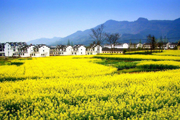 三天兩夜,婺源之旅 三天兩夜,婺源之旅